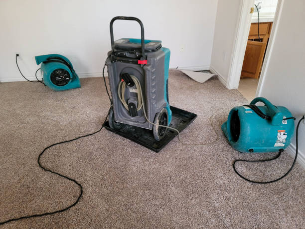 Best Local water damage restoration  in Amherst, WI