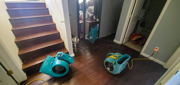 Best Water damage restoration near me  in Amherst, WI