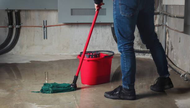 Best Water damage restoration near me  in Amherst, WI