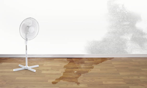 Best Water damage restoration experts  in Amherst, WI