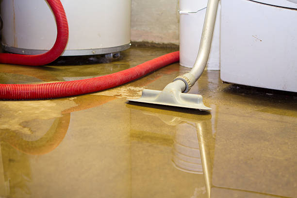Water damage restoration insurance claims in Amherst, WI