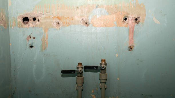 Water damage restoration mold remediation in Amherst, WI