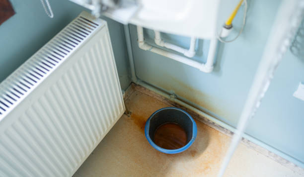 Best Water damage restoration specialists  in Amherst, WI