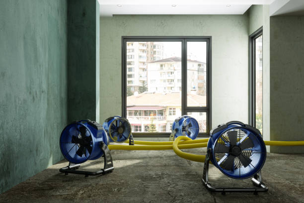 Best 24-hour water damage restoration  in Amherst, WI